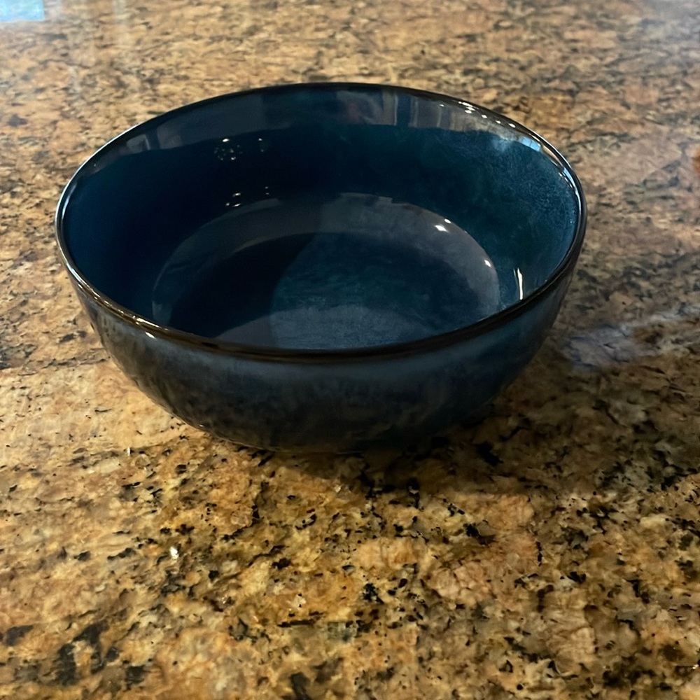 Urban Barn blue black bowl - Fontaine?